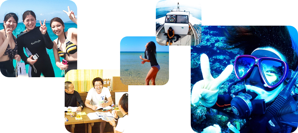 マリンスターズジャパンポリシー